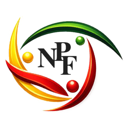Favicon_Nirmal Panwar Finance